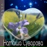 Наташа Суворова