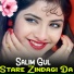Salim Gul