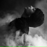 Lil Darksmoke