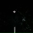 PHLIGHTMOON