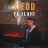 Siedd