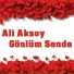 Ali Aksoy