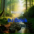 DJ Özhik