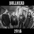 Bullhead