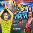 Devanand Dabang