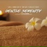 Spa Chillout Music Collection
