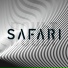 THIS IS SAFARI