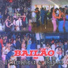 Palmeira e Biguá
