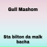 Gull Mashom