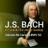 Netherlands Bach Collegium