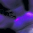 Temmy