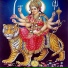 Vipin Prajapati