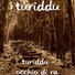 Turiddu