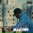 Lionceau