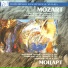 Моцарт Симфония 40 2 часть Главная партия