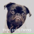 Música Relajante para Perros