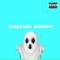 BLX Beetupthepumz