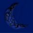 Tethys