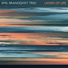 Emil Brandqvist Trio
