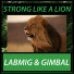 Labmig, Gimbal
