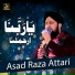 Asad Raza Attari