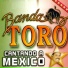 Banda Toro
