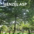 Henzel ASP