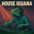House Iguana