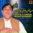 Hassan Iqbal Sandhu
