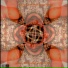 Anez