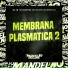 Mc Gw, Mc Magrinho, Mc Vuk Vuk feat. DJ Derek XX