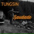 Tungsin