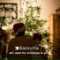 KASSYRIA