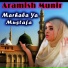 Aramish Munir