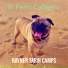 RAYNER TARIN CAMPS