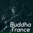 Meditating Buddha