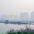 夏小桃