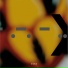 Ken Ishii, YUADA
