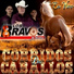 Los Bravos De Sinaloa