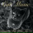 Cat Music, Cat Music Therapy, Cat Music Dreams