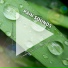 Regengeräusche, Rain Sounds, Relaxing Spa Music