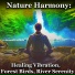 Meditation Melodies