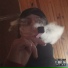 SkjaBoo