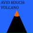 Avid Kouch