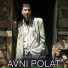 Avni Polat
