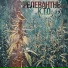 РЕЛЕВАНТНЫЙ, К.Т.О.