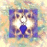 The Multidimensional Mind Awakening