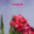 гардия
