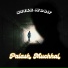 Palash Muchhal