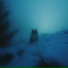 wintercat